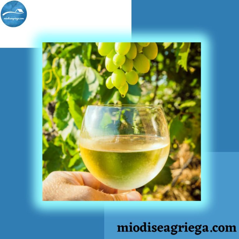 vino-griego-canvas