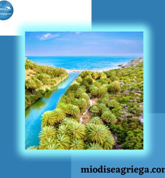 palmeral-de-preveli-canvas