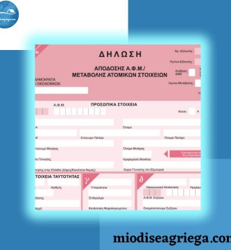 el-numero-de-identificacion-fiscal-AFM-canvas