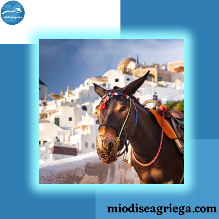 excursión-en-burro-de-santorini-canvas