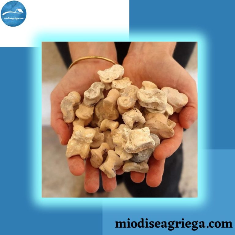 astragaloi-juego-huesos-antigua-grecia-canvas