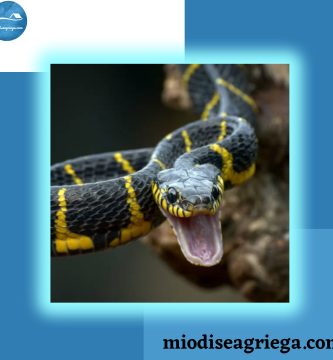 serpientes-antigua-grecia-canvas