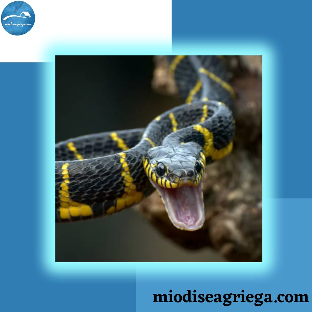 serpientes-antigua-grecia-canvas