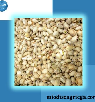 egina-pistachos-canvas