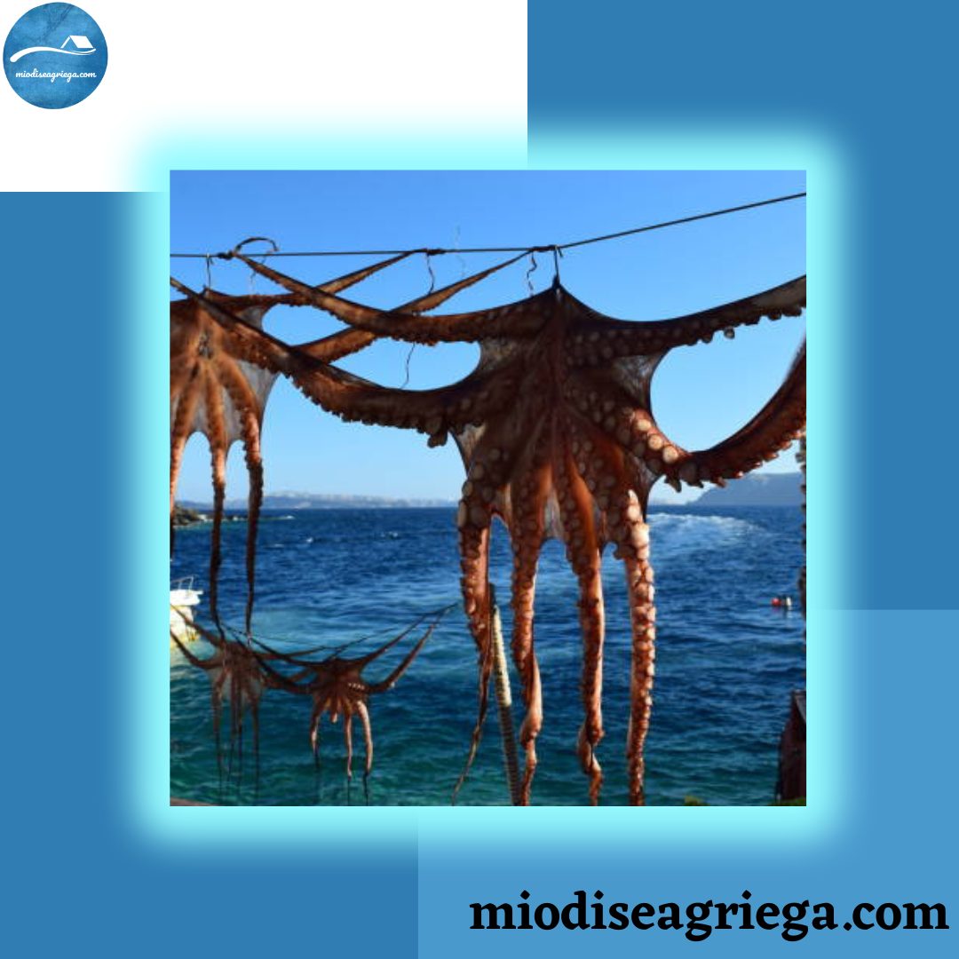 griegos-cuelgan-pulpo-sol