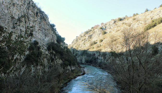 cañon-aggitis