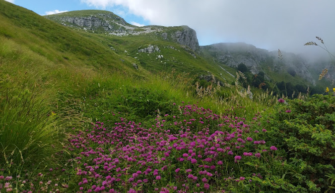 monte-pangeo-2