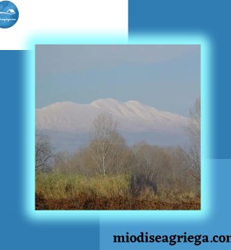 monte-pangeo-2