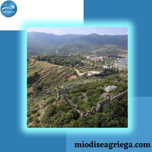 academia-athonita-monte-athos